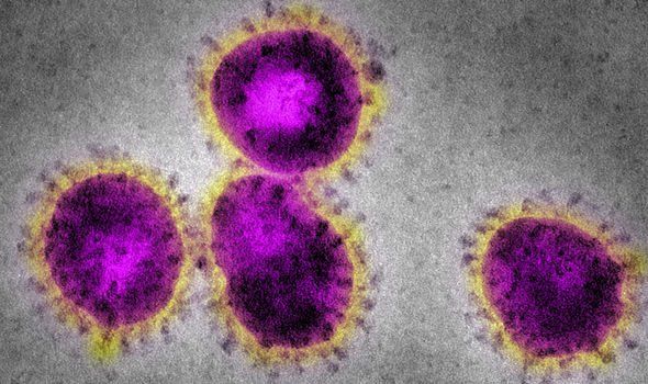 Researchers Found The Virus May Have Originated From A Lab 2349370